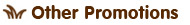 Other Promotion
